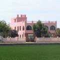 Los restaurantes más recomendados en El Palmar