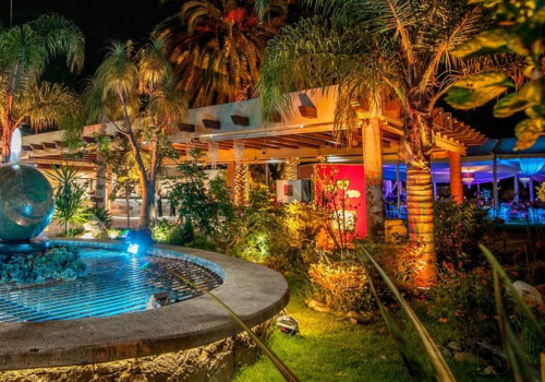 Restaurantes vegetarianos y veganos cerca de los parques y jardines de El Palmar